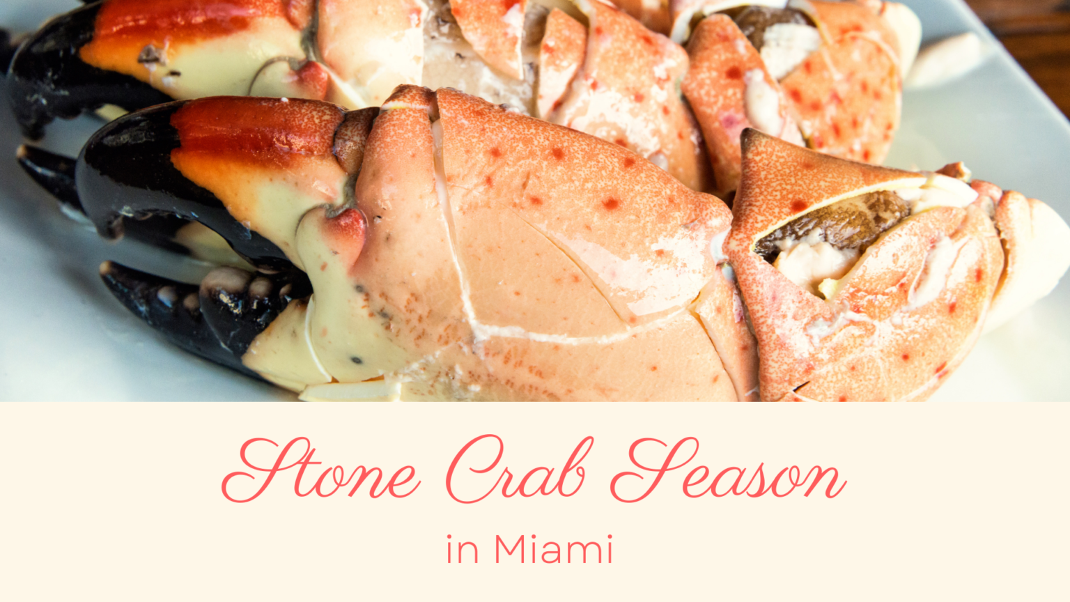 stone crab season in miami 305 Hive