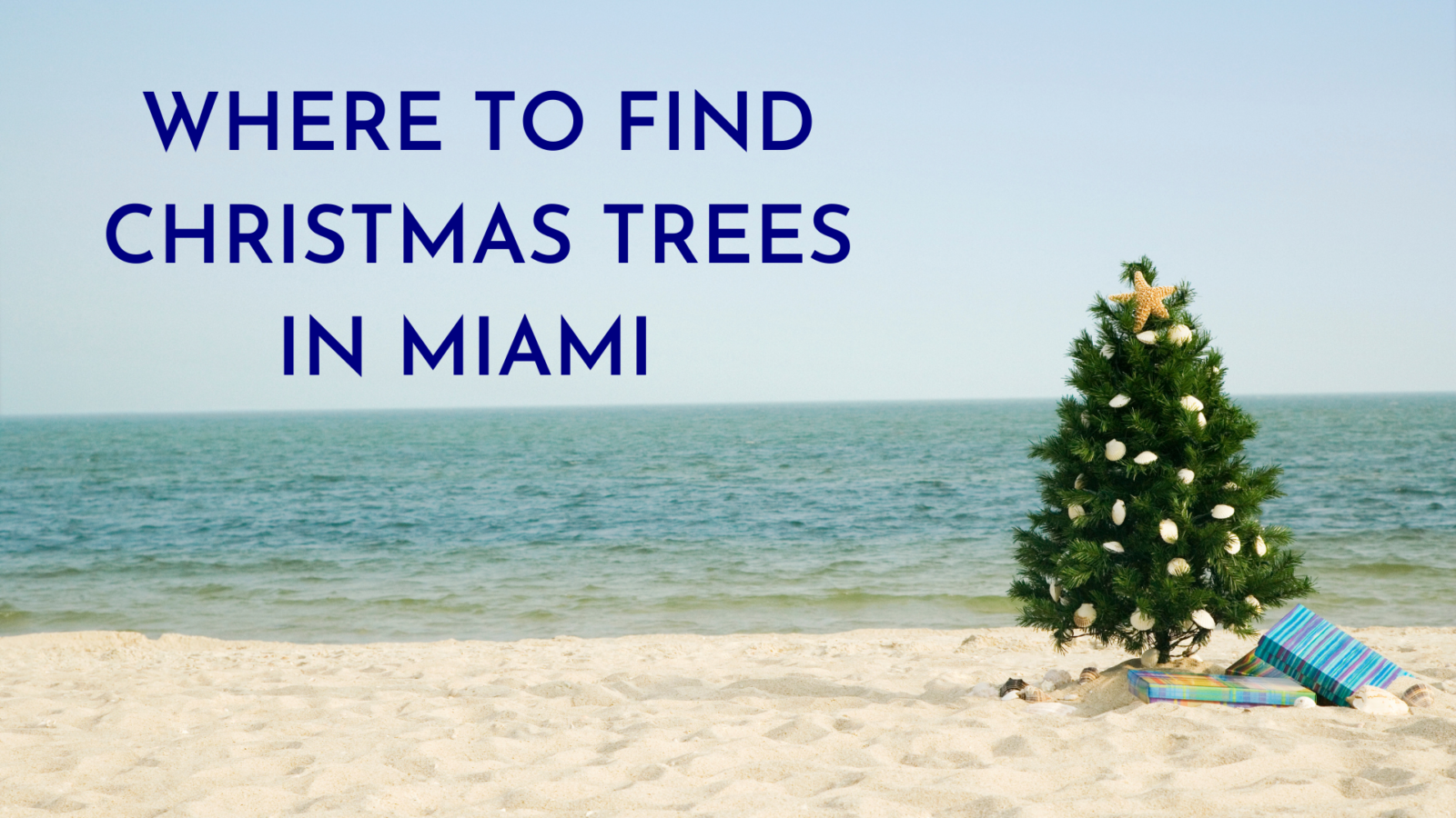 where to find christmas trees in miami 305 Hive