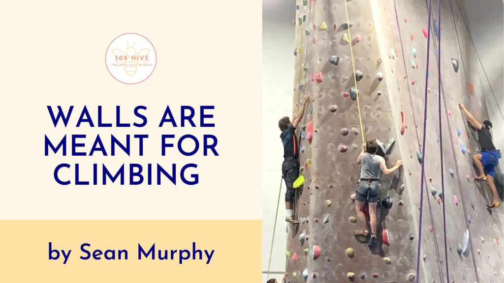 walls are meant for climbing by sean murphy 305 Hive